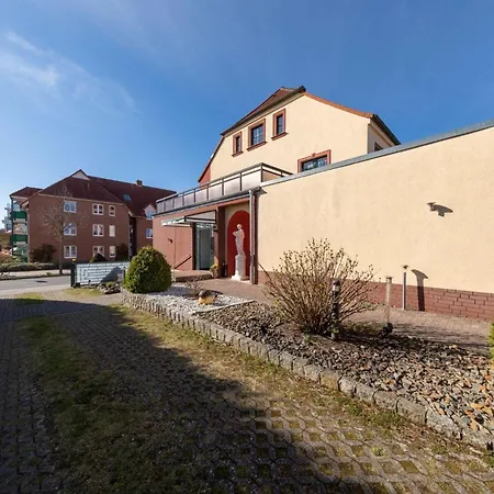 Haus Diana - Blaumeise
